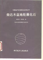柴达木盆地轮藻化石 封面