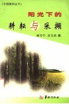 阳光下的耕耘与采撷 封面