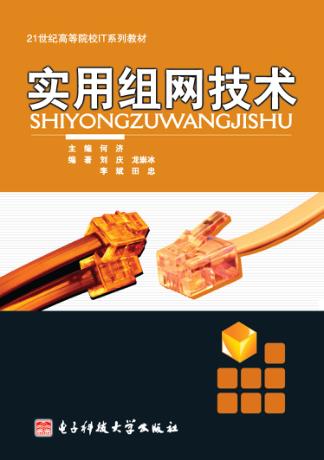实用组网技术 封面