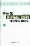 贵州省城镇劳动力资源的可持续发展研究 封面