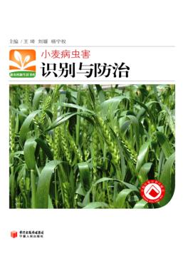 小麦病虫害识别与防治 封面