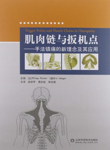 肌肉链与扳机点 手法镇痛的新理念及其应用 封面