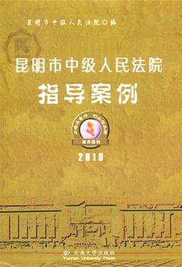 昆明市中级人民法院指导案例  2010 封面