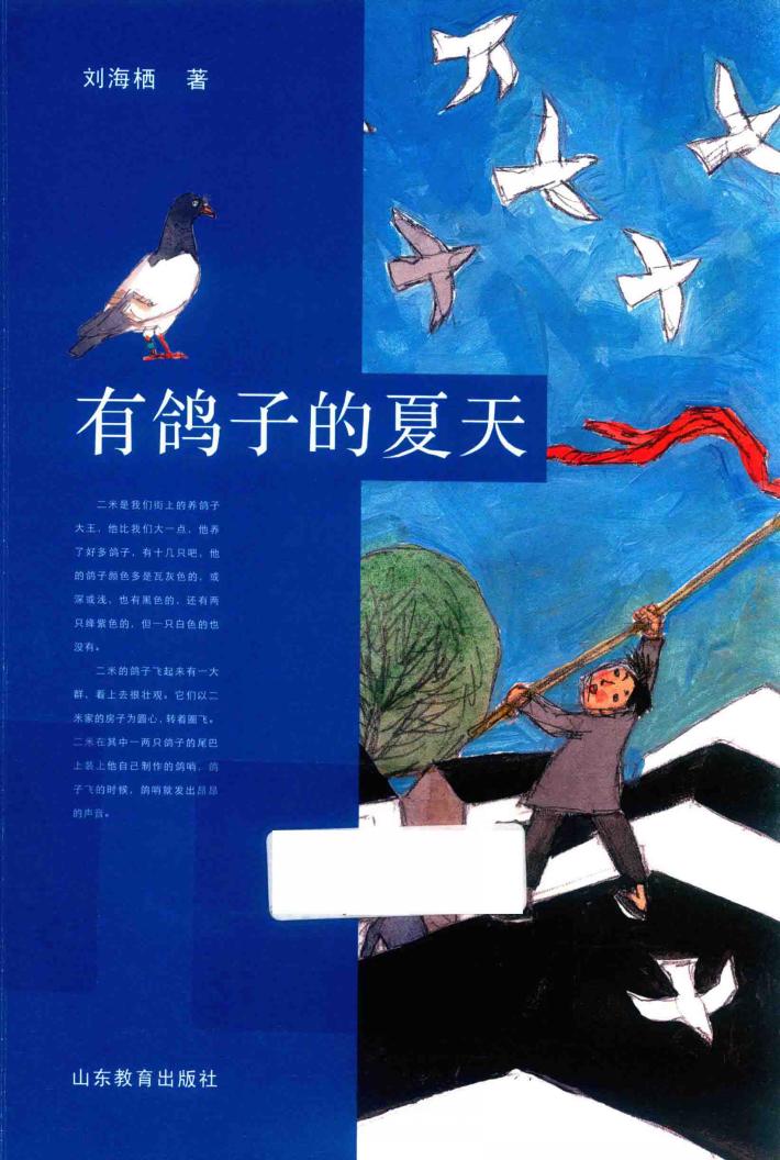 有鸽子的夏天 封面