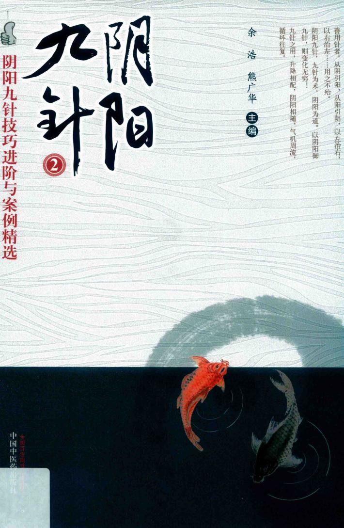 阴阳九针  2 封面