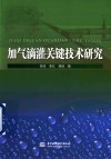 加气滴灌关键技术研究 封面