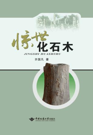 惊世化石木 封面