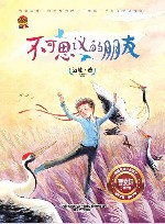 不可思议的朋友 封面