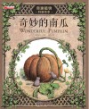 奇妙的南瓜 封面