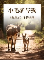 小毛驴与我 封面
