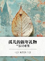 孤儿的新年礼物  兰波诗歌集 封面