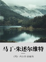 马丁·朱述尔维特 封面