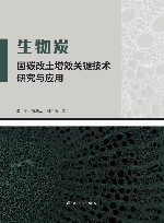 生物炭固碳改土增效关键技术研究与应用 封面