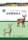 鹿高效繁殖技术 封面