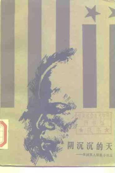 阴沉沉的天  美国黑人短篇小说选 封面