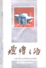 墁塘之路-永康乡镇企业发展的足迹和展望 封面