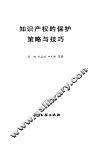 知识产权的保护策略与技巧 封面