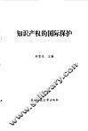 知识产权的国际保护 封面