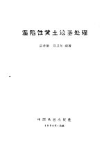 湿陷性黄土地基处理 封面