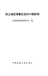 软土地区深基坑支护工程实例 封面