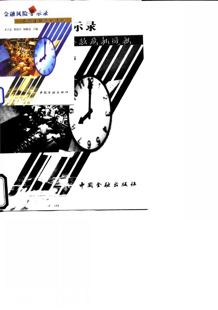金融风险警示录  亚洲金融危机透视 封面
