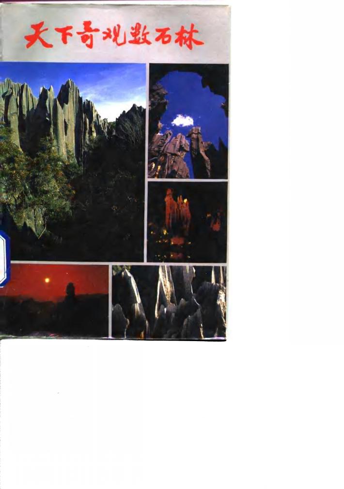 天下奇观数石林 封面