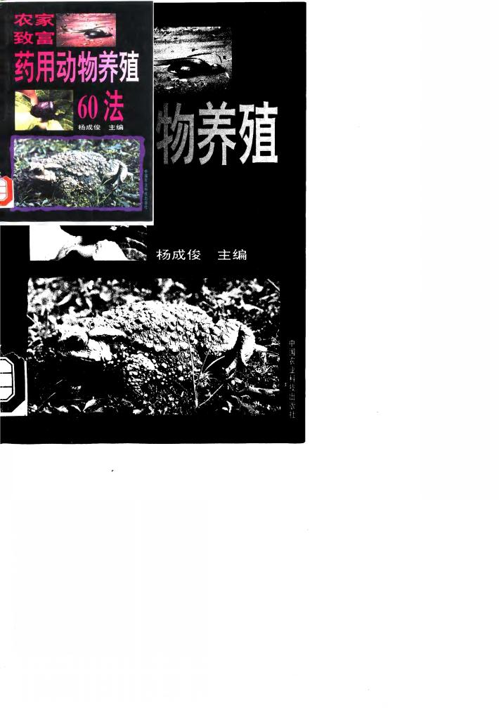 农农致富  药用动物养殖60法 封面