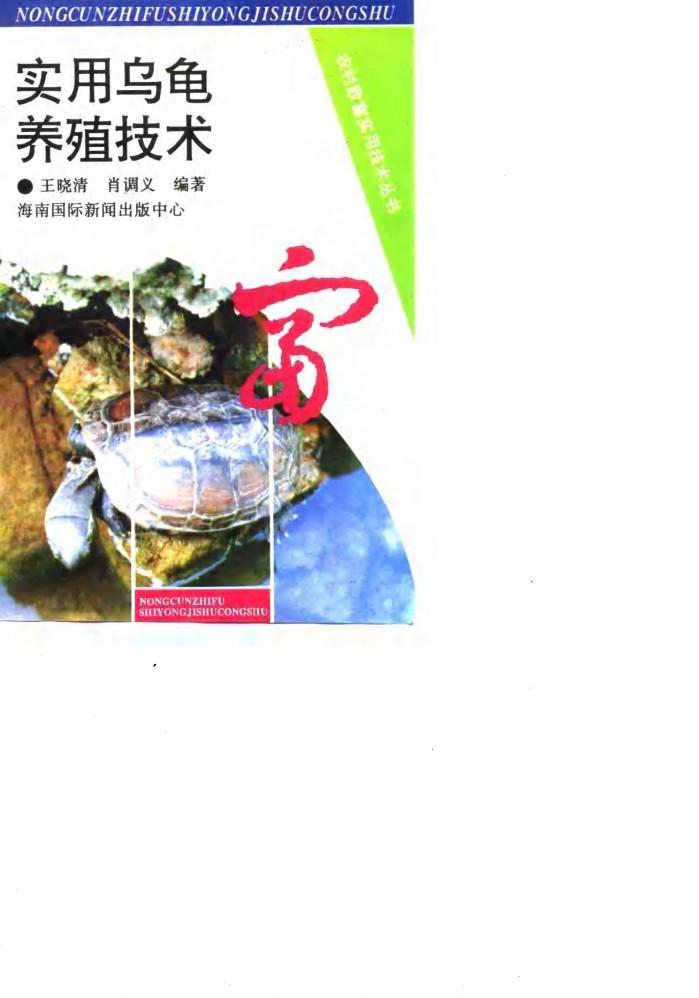 实用乌龟养殖技术 封面