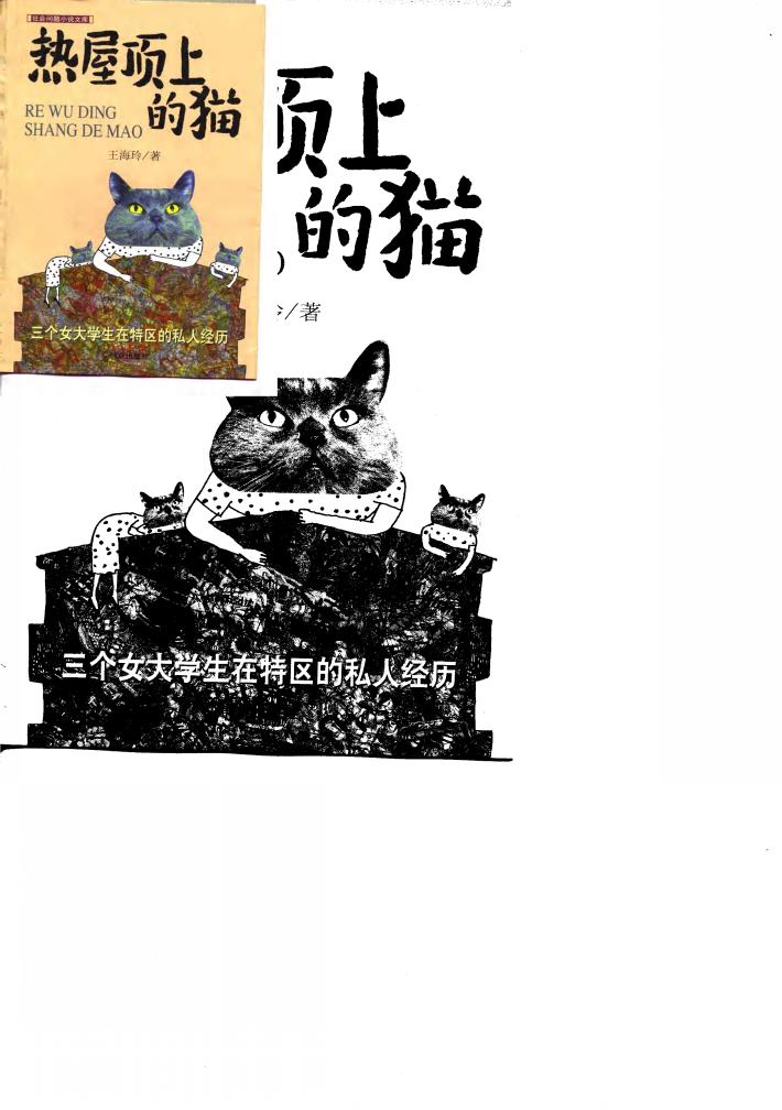 热屋顶上的猫  三个女大学生在特区的私人经历 封面