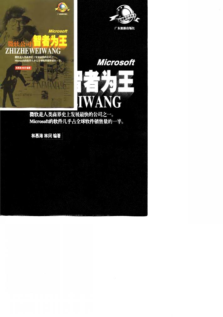 智者为王  微软公司 封面