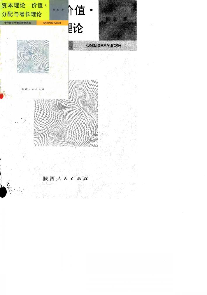 资本理论  价值、分配与增长理论 封面