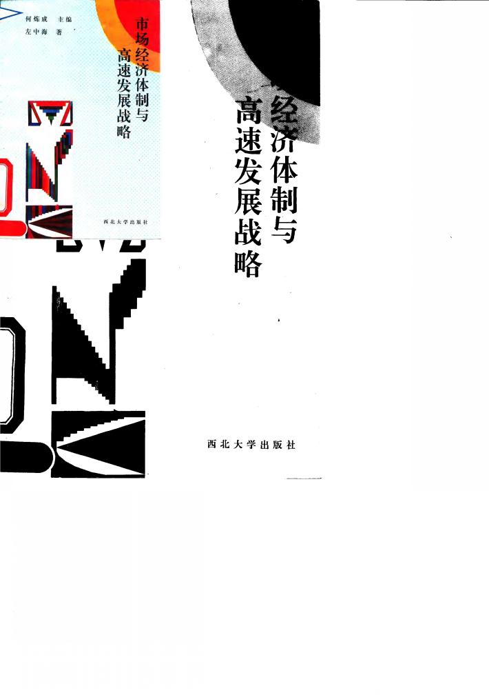 市场经济体制与高速发展战略 封面