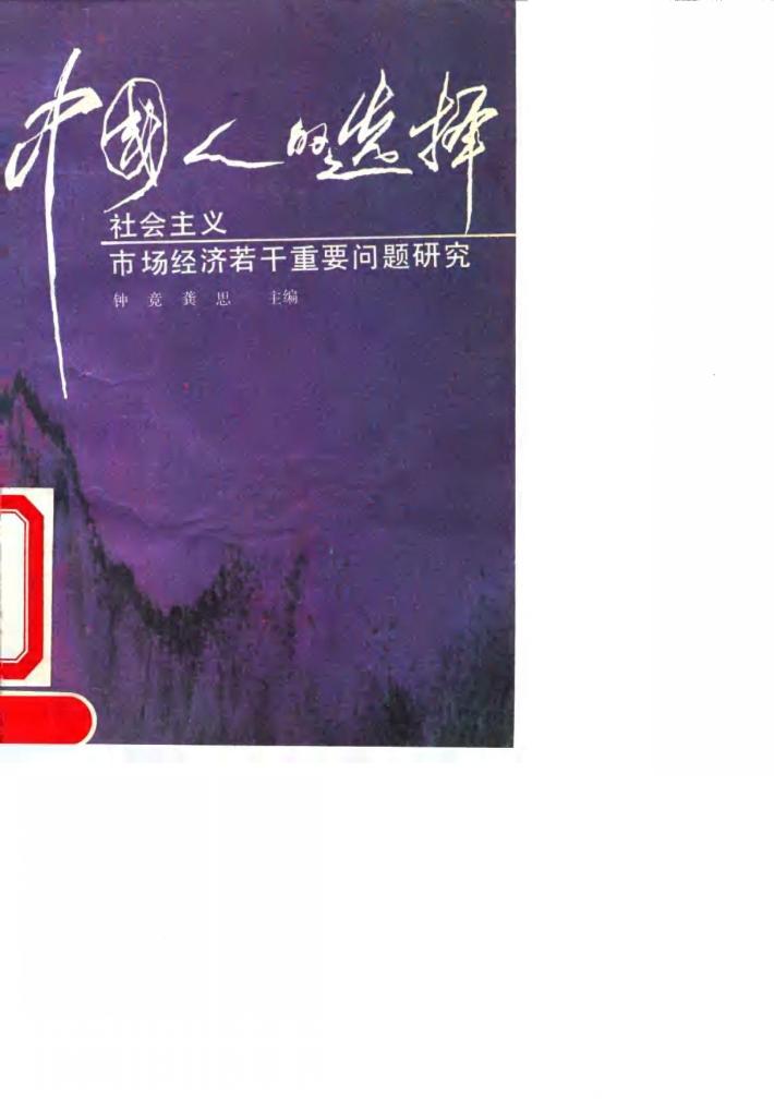 中国人的选择-社会主义市场经济若干重要问题研究 封面