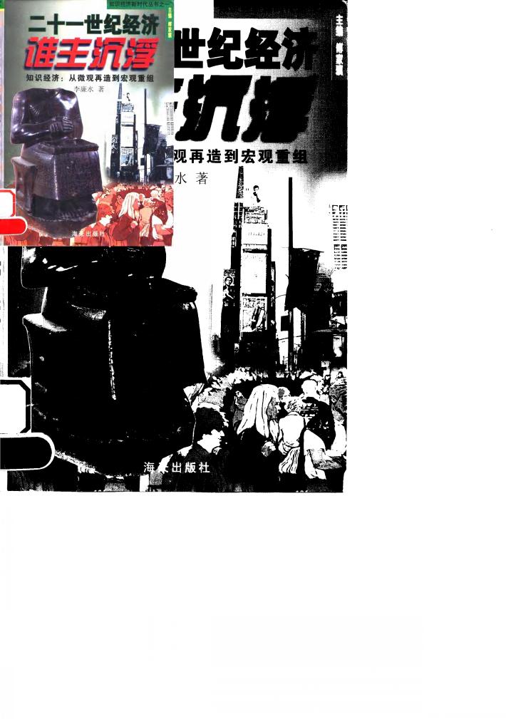 二十一世纪经济谁主沉浮  知识经济：从微观再造到宏观重组 封面