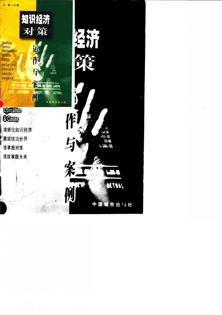 知识经济对策  运作与案例 封面