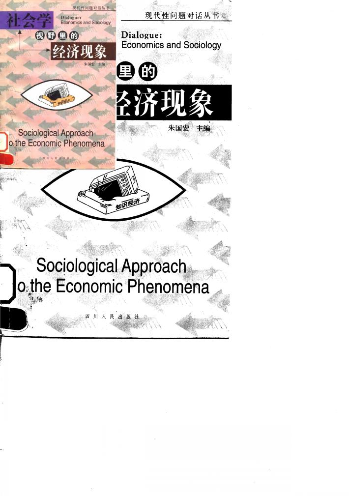 社会学视野里的经济现象 封面