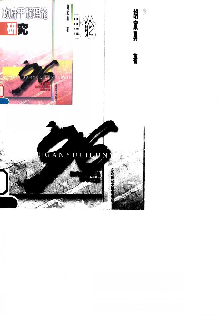 政府干预理论研究 封面