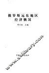 俄罗斯远东地区经济概况 封面