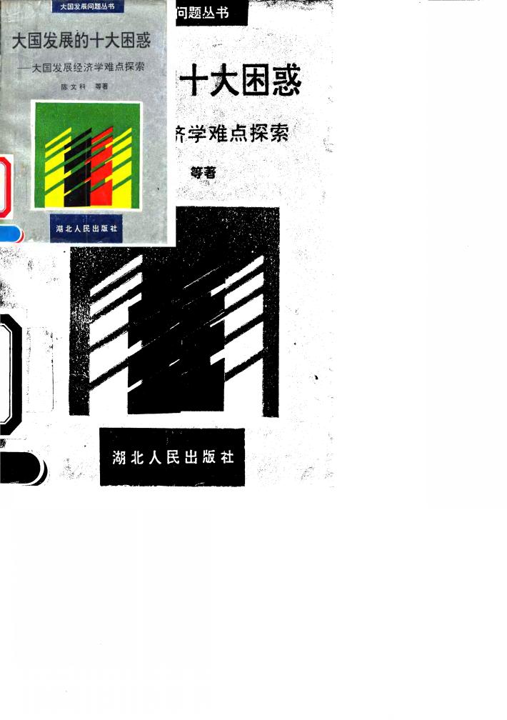 大国发展的十大困惑  大国发展经济学难点探索 封面