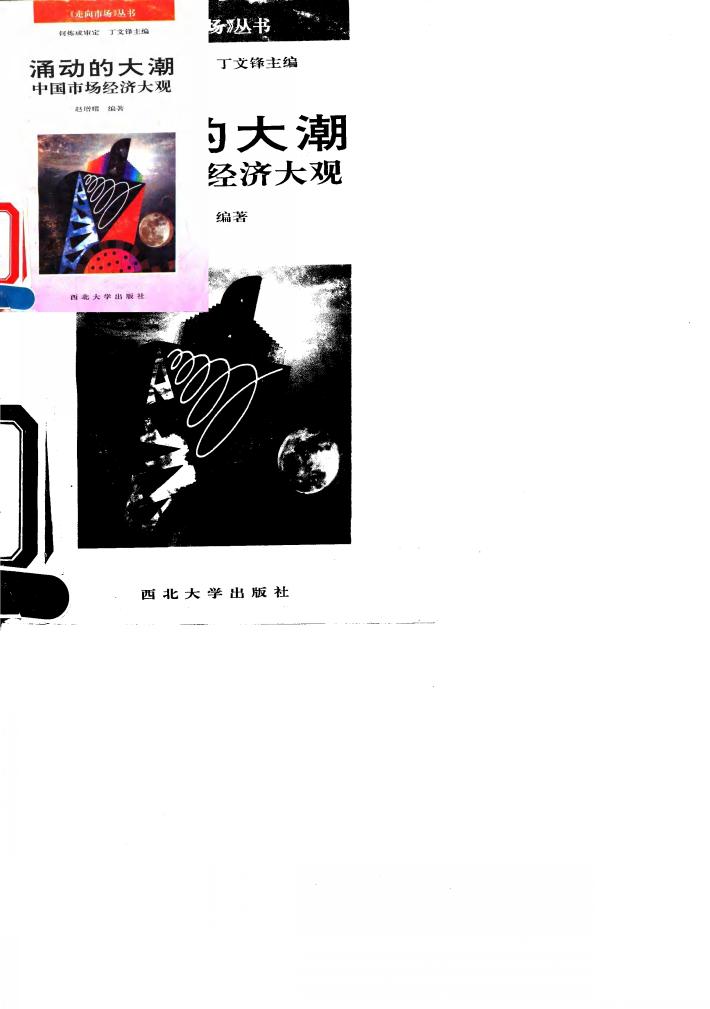 涌动的大潮  中国市场经济大观 封面