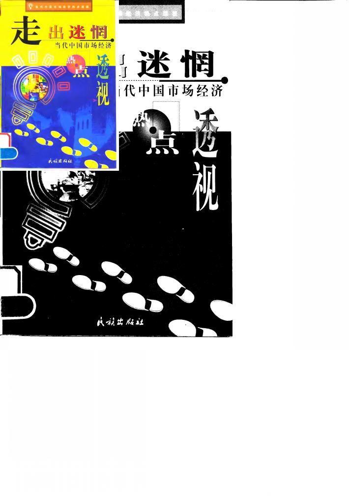 走出迷惘  当代中国市场经济热点透视 封面