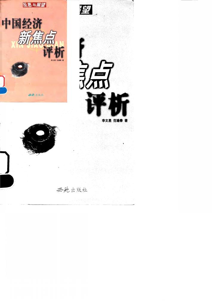 中国经济新焦点评析  反思与展望 封面