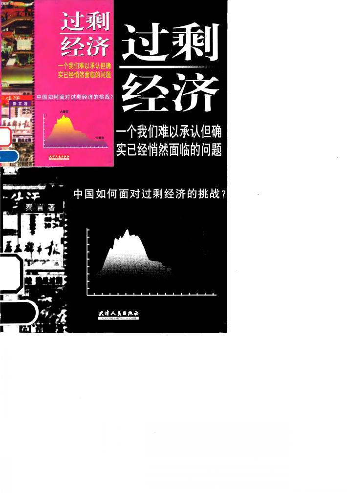 过剩经济  中国如何面对过剩经济的挑战？ 封面