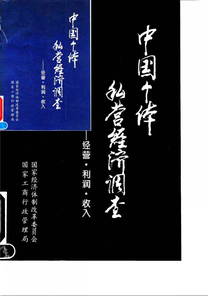 中国个体私营经济调查  经营、利润、收入 封面
