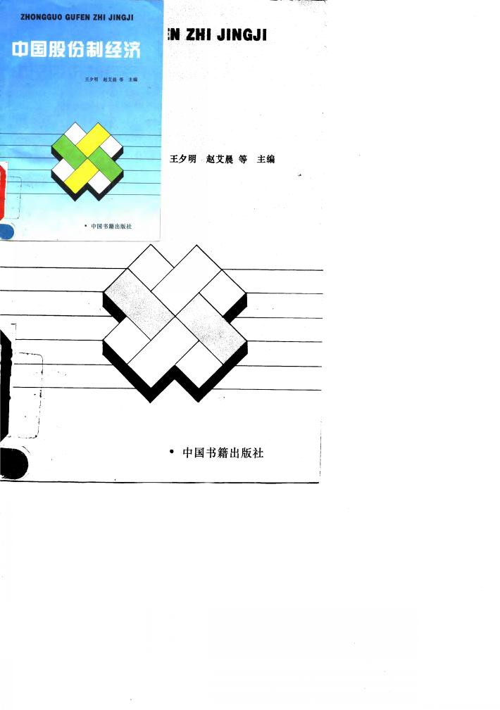 中国股份制经济 封面