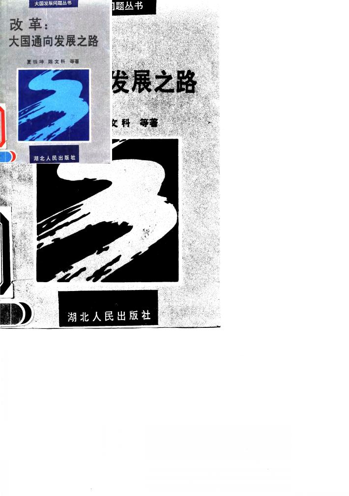 改革  大国通向发展之路 封面