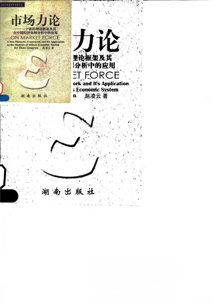 市场力论  一个新的理论框架及其在中国经济体制分析中的应用 封面