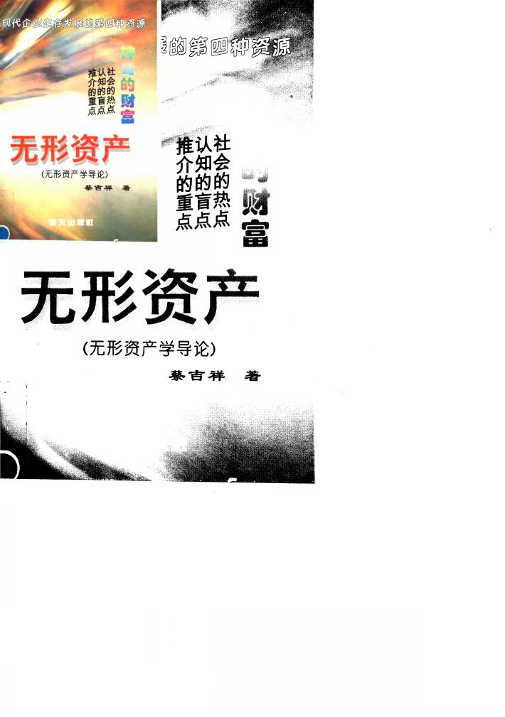 神奇的财富  无形资产  无形资产学导论 封面