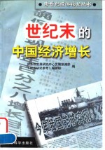 世纪末的中国经济增长 封面
