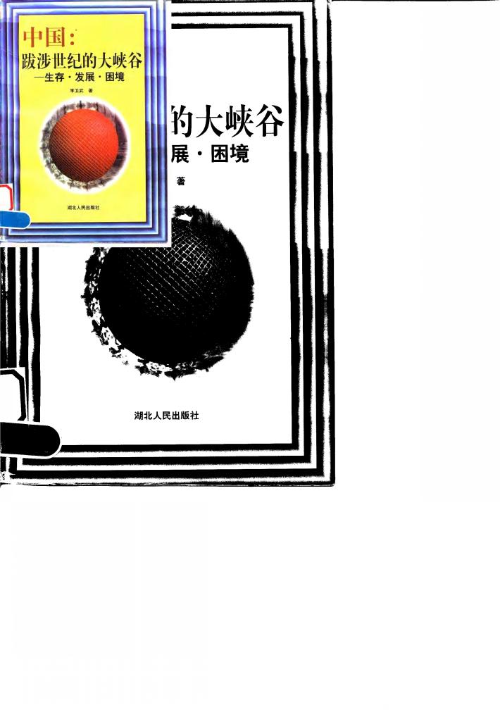中国：跋涉世纪的大峡谷  生存·发展·困境 封面